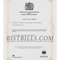 英国营业执照pdf模板（V2）UK/England Company Certificate pdf（V2）