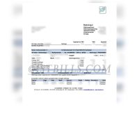 冰岛 水电账单 Hsveitur 电费账单 地址证明 Icelandic water and electricity bills, Hsveitur electricity bill, proof of address