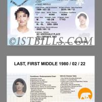 北美| 西北地区驾照/驾驶证 Canada NorthwestTerritories PSD/Photoshop/PS模板