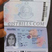 东南亚|Malaysia Passport马来西亚新版护照手持照PS/Photoshop/PSD模板