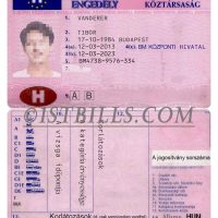 欧盟| 匈牙利驾照/驾驶证 Hungary DL ps/photoshop/PSD模板（V1）