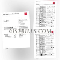 美国 WellsFargo富国银行 公司银行流水账单 地址证明 Wells Fargo Bank Corporate Bank Statement Proof of Address