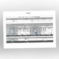 西班牙工资单 西班牙语工资单 收入来源证明 nómina española Spanish Payroll Prueba de fuente de ingresos