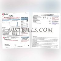 美国内华达州 拉斯维加斯 NVEnergy电费账单 地址证明 Nevada, Las Vegas, USA NVEnergy Electricity Bill Proof of Address