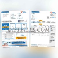 马来西亚地址证明 Tenaga Nasional电费账单 Proof Of Malaysian Address Tenaga Nasional Electricity Utility Bills