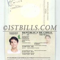 南美|拉美| 智利护照 Chile Passport PSD/photoshop/PS模板