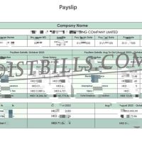 收入来源证明 香港工资单 HongKong Payslip 收入证明 Payslip Salary 带公司名字 中/英文拼音名（香港收入证明）