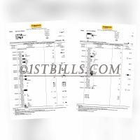 马来西亚MyBank银行工资流水三个月一份 Malaysia MyBank Salary Statement