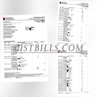 法国兴业银行账单 地址证明 France Societe Generale Bank Statement PDF