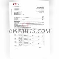 美国CFSB社区联邦银行个户账单流水 地址证明 Community Federal Bank personal account statement and address proof