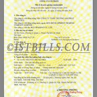 越南公司营业执照PS/PSD模板(高清版) Vietnam Company Certificate Template PS/PSD