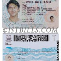 美国|佛罗里达/佛州驾照/驾驶证PSD模板V2 USA Florida DL(V2)