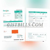 东南亚|新加坡地址证明 Senokoenergy电费账单 Singapore Senokoenergy Electricity Bill PDF