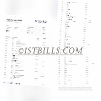 法国qonto银行账单公司银行流水 qonto Bank Statement PDF