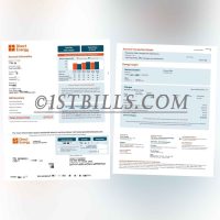 美国地址证明 得克萨斯州 Direct Energy电费账单 Proof of U.S. Address Texas Direct Energy Electricity Bill