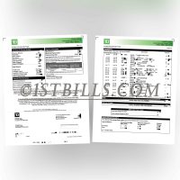 美国 TD银行卡账单 地址证明 U.S. TD bank card statement Proof of address