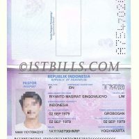 东南亚| 印度尼西亚/印尼护照 Indonesia Passport PS/Photoshop/PSD模板