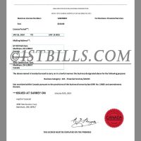 加拿大安省商业/经营许可证pdf模板 Canada Ontario Business Licences pdf