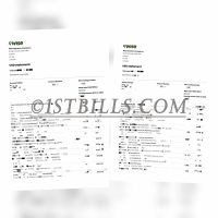 Wise公户USD美元账户流水账单 公司户流水定制 Wise public USD account statement, company statement customization