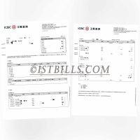 香港工银亚洲 银行账单地址证明 ICBC HK Bank Statement PDF