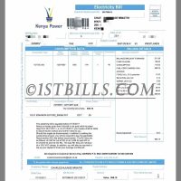 非洲肯尼亚 水电费账单| Kenya Power Electricity Utility Bill pdf
