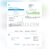 美国公司地址证明 怀俄明州水电费账单 FPL 电费账单 Proof of address for a US company; Wyoming utility bills (FPL); electricity bills