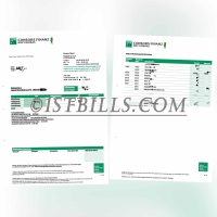 德国 BNP Paribas银行账单 欧盟地址证明 Germany BNP Paribas Statement PDF