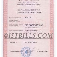 乌克兰公司营业执照PS/PSD模板（V3版）Ukraine Company Certificate PS/PSD（V3）