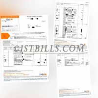 法国 ING银行账单 地址证明 France ING Bank Statement PDF