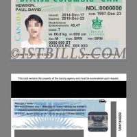 北美| 哥伦比亚省驾照/驾驶证PS模板 Canada British Columbia PSD/Photoshop/PS模板