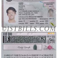 墨西哥身份证卡/选民证PS/PSD模板(V2) Mexico ID Card