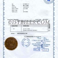 东南亚| 缅甸驾照/驾驶证PSD模板 Myanmar Driver Lisence PS/Photoshop