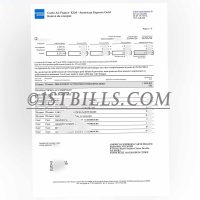 法国 美国运通 信用卡账单 地址证明 French American Express credit card statement Proof of address