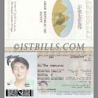 非洲|中东| 埃及护照PSD Egypt Passport /Photoshop/PS模板(打印版)