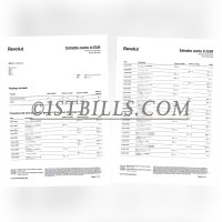 意大利银行对账单 Revolut Bank 银行流水地址证明 Italian bank statement, Revolut Bank, bank statement address proof