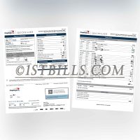 美国 Capital One银行信用卡账单 地址证明 US Capital One Bank credit card statement Proof of address