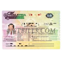 东南亚|马来西亚签证PSD模板 Malaysia Visa Template/Photoshop/PSD