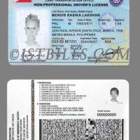 东南亚| 菲律宾驾照/驾驶证 Phipplines DL PSD/photoshop模板