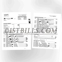 美国Chase大通银行 公司银行流水账单 地址证明 Chase Bank Corporate Bank Statement Proof of Address