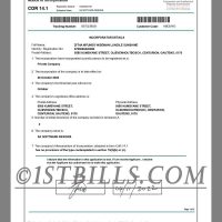 南非公司注册证书pdf模板 South Africa CIPC Company Certificate of Registration PDF