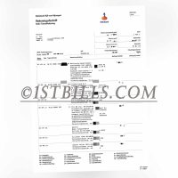 荷兰Robo银行账单 欧盟地址证明 Netherland RoboBank Statement PDF