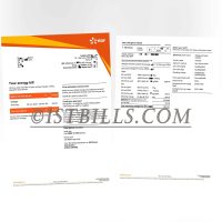 英国地址证明 EDF电费账单 UK EDF Electricity Utility Bill Proof of Address PDF