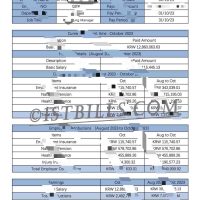 收入来源证明 韩国工资单 熊猫速汇 Pandaremit Wise Korea Payslip 收入证明 Payslip Salary 带公司名字 中/英文拼音名（韩国收入证明）