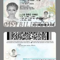 北美| 加拿大Alberta艾伯塔省驾照 Canada DL PSD模板