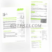 英国地址证明 Avro Energy燃气 英格兰电费账单 Gas Electricity bills in England