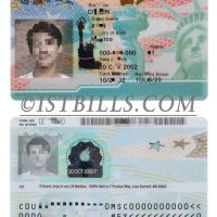 美国绿卡/永居卡PSD模板(V2) USA Green Card Template(Permanent Resident)PSD