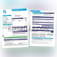 法国地址证明 gaz-tarif-reglemente 燃气费账单 法语 France gaz-tarif-reglementeGas Bill Proof of Address PDF