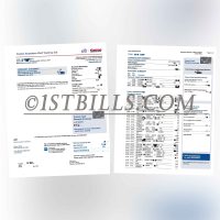 加拿大 花旗银行信用卡账单 地址证明 Canada Citibank credit card statement Proof of address