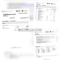 新加坡星展银行 DBS POSB Bank带工资流水账单 Singapore DBS POSB Bank with salary statement
