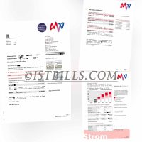 德国地址证明 德国MVV电费账单 Germany MVV Electricity Utility Bill